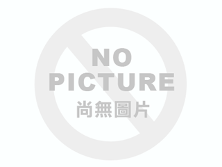 嶄新的一年