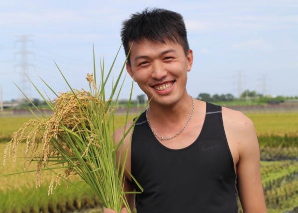 【自由時報】梅雨零倒伏！ 青農無毒種稻 聞到童年稻香味
